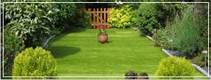 Image of a garden with artificial grass